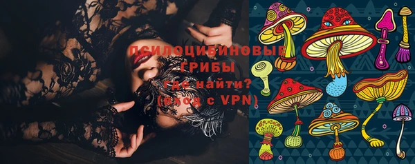 дживик Абинск