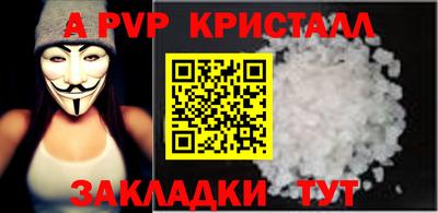 a pvp Кингисепп