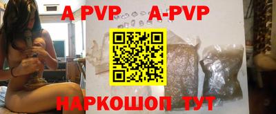 a pvp Кингисепп
