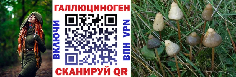 Псилоцибиновые грибы мицелий  Ступино 
