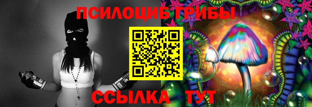 Галлюциногенные грибы Cubensis  Вход с VPN  продажа наркотиков  Ступино 